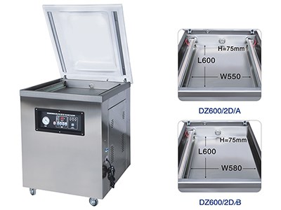 DZ（Q） Single room deepend vacuum packing machine